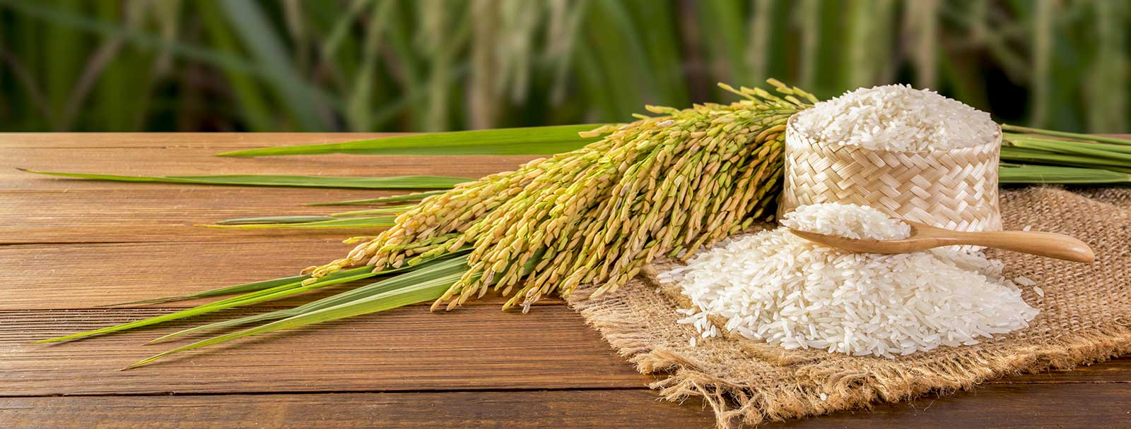 Thendral Natural Foods